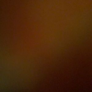 Meet your Posher, Lina